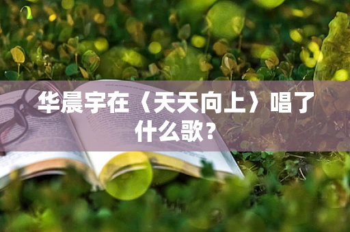 华晨宇在〈天天向上〉唱了什么歌？
