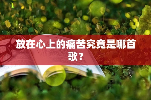 放在心上的痛苦究竟是哪首歌？