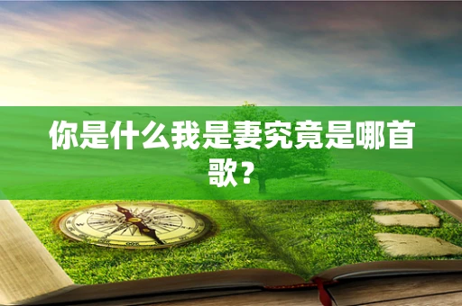 你是什么我是妻究竟是哪首歌？