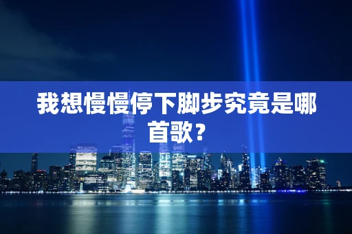 我想慢慢停下脚步究竟是哪首歌？