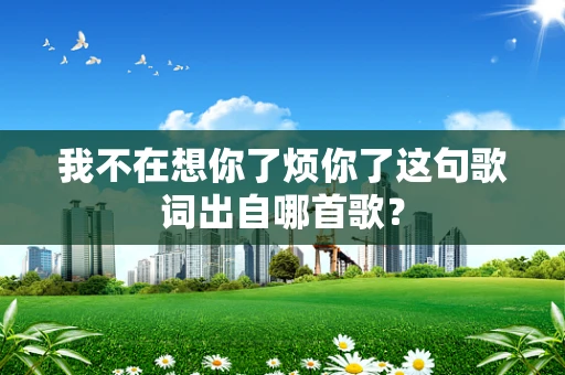 我不在想你了烦你了这句歌词出自哪首歌？