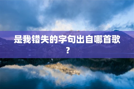 是我错失的字句出自哪首歌？