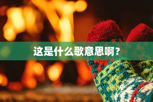这是什么歌意思啊？