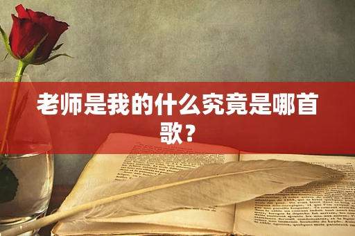 老师是我的什么究竟是哪首歌？