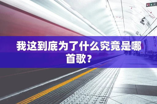 我这到底为了什么究竟是哪首歌？