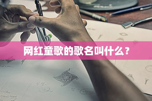 网红童歌的歌名叫什么？