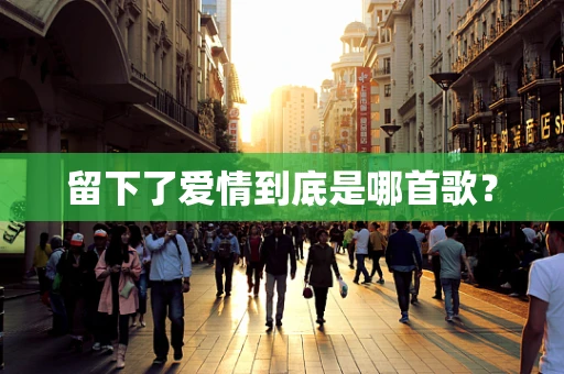 留下了爱情到底是哪首歌？