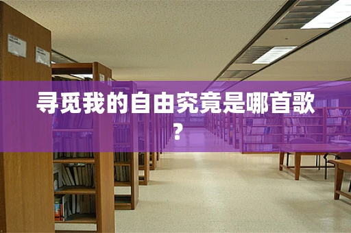 寻觅我的自由究竟是哪首歌？