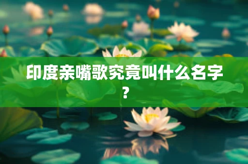 印度亲嘴歌究竟叫什么名字？