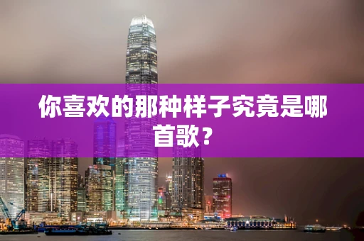 你喜欢的那种样子究竟是哪首歌？
