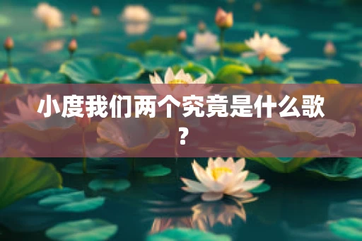 小度我们两个究竟是什么歌？