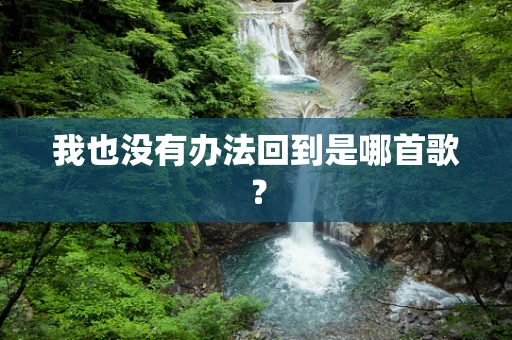 我也没有办法回到是哪首歌？