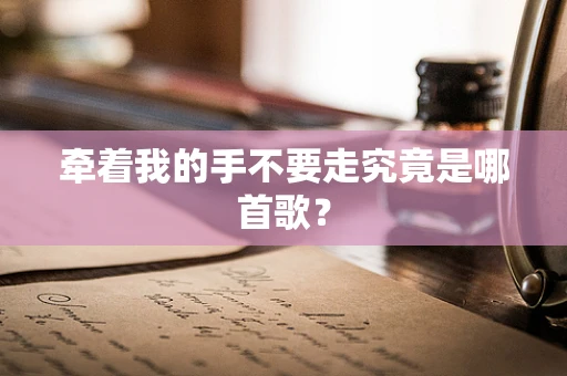 牵着我的手不要走究竟是哪首歌？