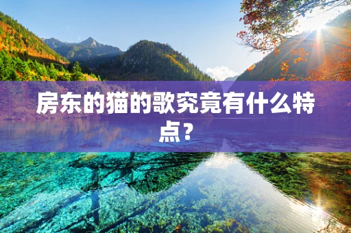 房东的猫的歌究竟有什么特点？