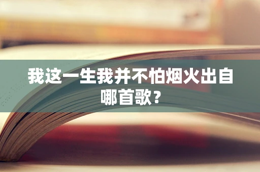 我这一生我并不怕烟火出自哪首歌？