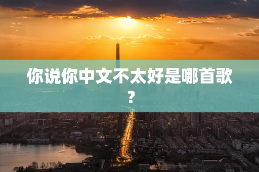 你说你中文不太好是哪首歌？