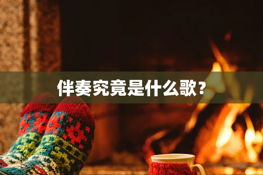 伴奏究竟是什么歌？