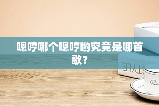 嗯哼哪个嗯哼哟究竟是哪首歌？