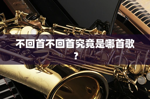 不回首不回首究竟是哪首歌？