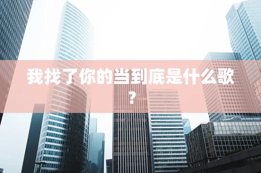 我找了你的当到底是什么歌？