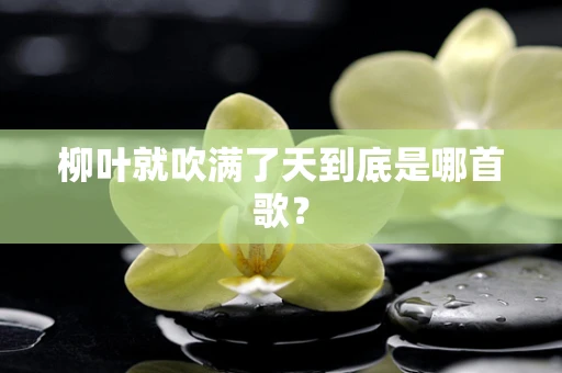 柳叶就吹满了天到底是哪首歌？