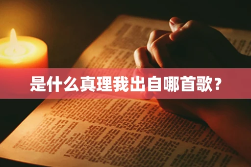 是什么真理我出自哪首歌？