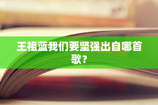王祖蓝我们要坚强出自哪首歌？