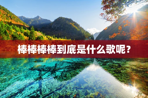棒棒棒棒到底是什么歌呢？