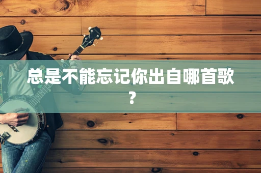 总是不能忘记你出自哪首歌？