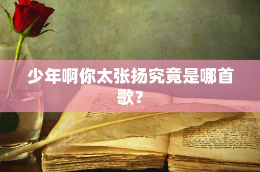 少年啊你太张扬究竟是哪首歌？