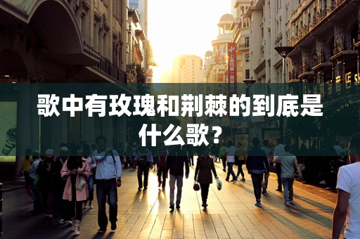 歌中有玫瑰和荆棘的到底是什么歌？