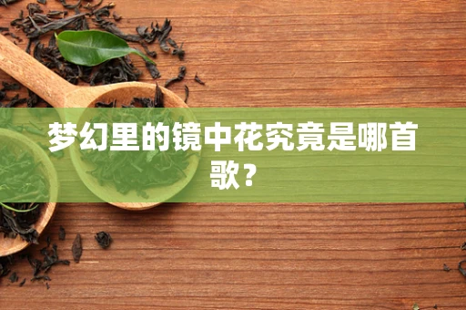 梦幻里的镜中花究竟是哪首歌？