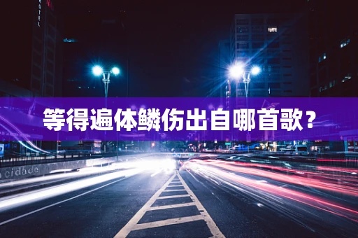 等得遍体鳞伤出自哪首歌？