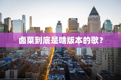 卤菜到底是啥版本的歌？