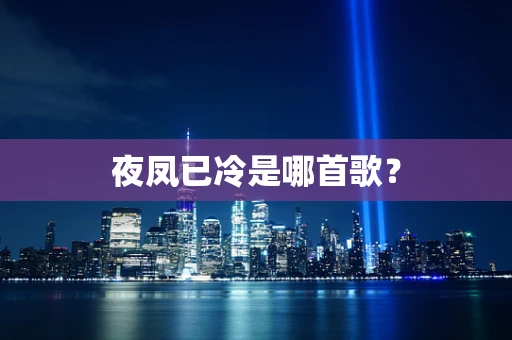 夜凤已冷是哪首歌？