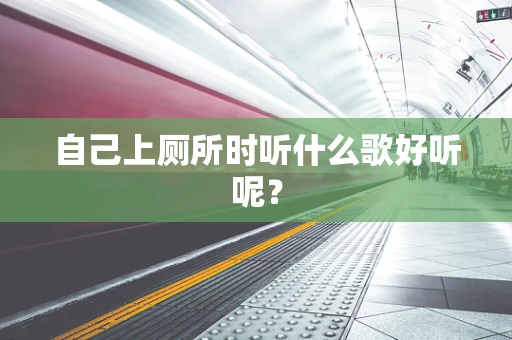 自己上厕所时听什么歌好听呢？