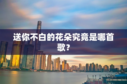 送你不白的花朵究竟是哪首歌？