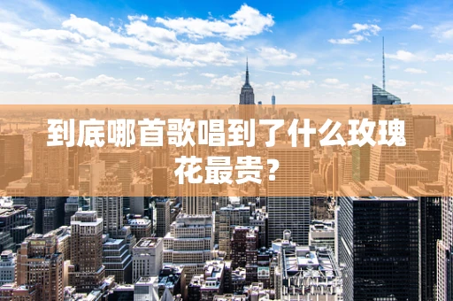 到底哪首歌唱到了什么玫瑰花最贵？