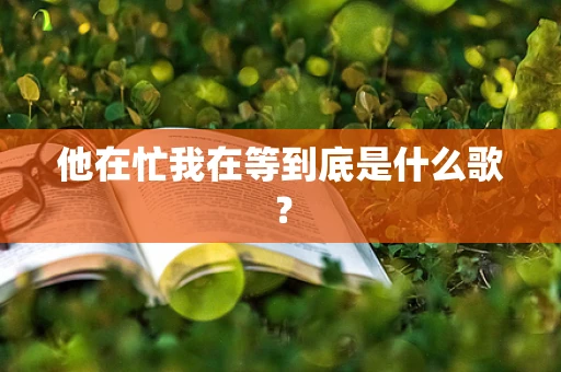 他在忙我在等到底是什么歌？