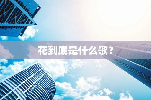 花到底是什么歌？