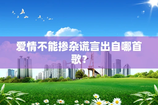 爱情不能掺杂谎言出自哪首歌？