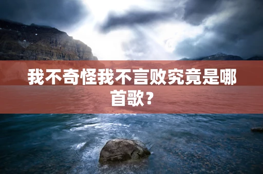 我不奇怪我不言败究竟是哪首歌？