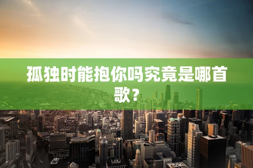 孤独时能抱你吗究竟是哪首歌？