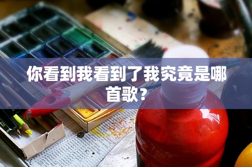 你看到我看到了我究竟是哪首歌？