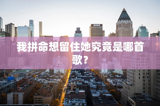 我拼命想留住她究竟是哪首歌？