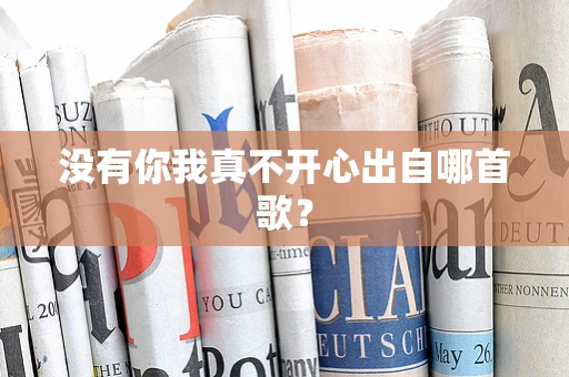没有你我真不开心出自哪首歌？
