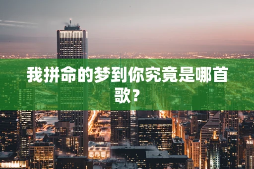 我拼命的梦到你究竟是哪首歌？