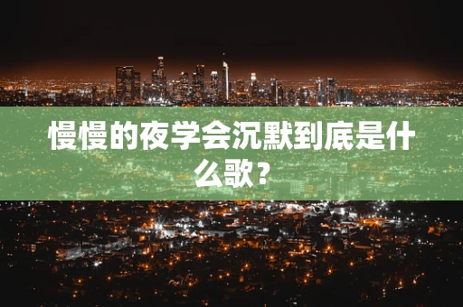 慢慢的夜学会沉默到底是什么歌？