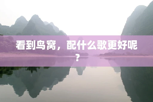 看到鸟窝，配什么歌更好呢？