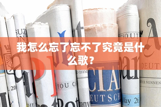 我怎么忘了忘不了究竟是什么歌？